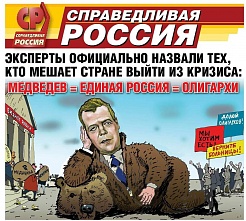 «Справедливую Россию» могут снять с воронежских выборов за карикатуру на лидера «Единой России»