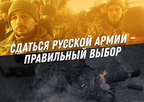 Медвежья услуга Шойгу. Российские войска должны уничтожить украинскую армию