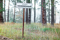 Администрация Воронежа вышла на берег Усмани вслед за следственным комитетом