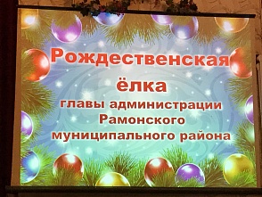 Алексей Журавлев поздравил с Рождеством рамонских детей и предложил изменить закон о гражданстве