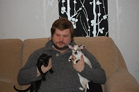 Чрезвычайная обеспокоенность