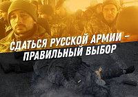Дмитрий Ольшанский: «Украинцы - не нацисты. Украинцы - сектанты»