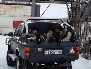 Каратели возобновили обстрел Луганска