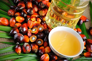 Воронежская «Родина» поддержала отказ от пальмового масла