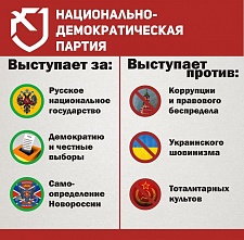 Воронежские национал-демократы предлагают поправить устав области в части правового статуса русского народа