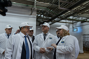 «Молвест» ходит Калачом. Холдинг Аркадия Пономарева переработает молочную сыворотку на местном сыродельном заводе