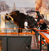 �������������� �������. ������ ����� �������� �������� � ���� �� ����������� ������, �� �� ����� ���� � ����� � ���������